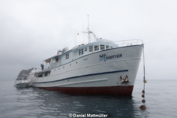 MV Sea Hunter  Liveaboards Main Image